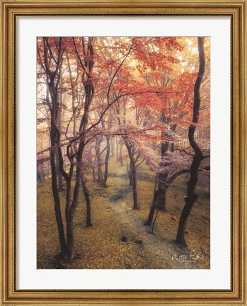 Framed High Up in the Trees Print