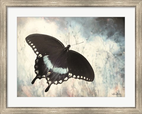 Framed Teal Butterfly I Print