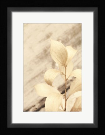 Framed Golden Leaves Print
