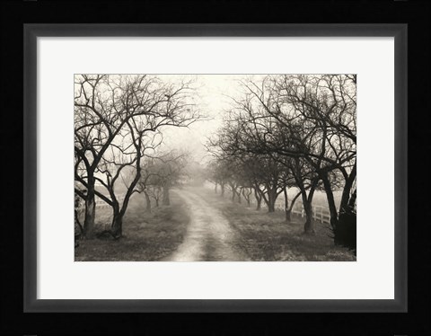 Framed Foggy Lane Print