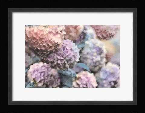 Framed Hydrangeas Abstract Print