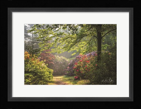 Framed Garden of Eden Print