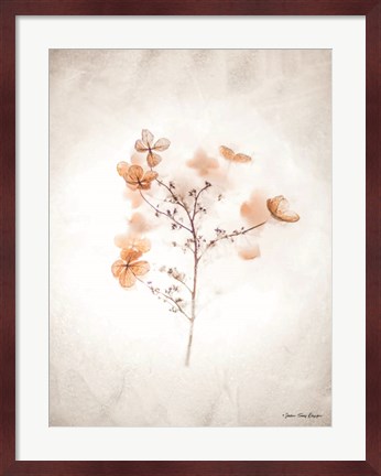 Framed Dried Flowers Print