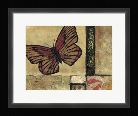 Framed Butterfly in Border I Print