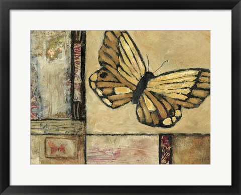 Framed Butterfly in Border II Print