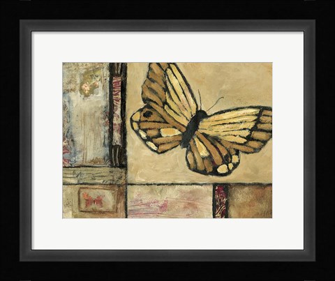 Framed Butterfly in Border II Print