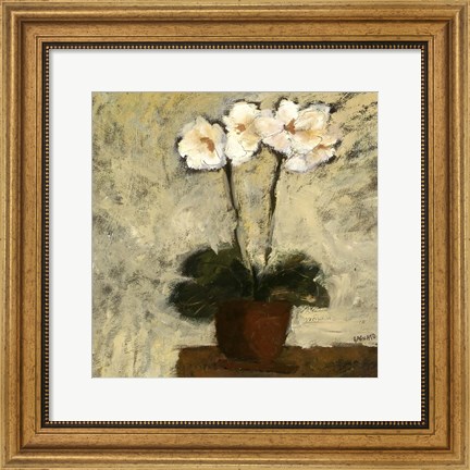 Framed Orchid Textures I Print