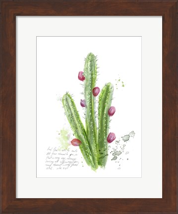 Framed Cactus Verse II Print