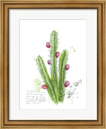 Framed Cactus Verse II Print
