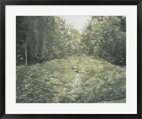 Framed Virginia Forest I Print