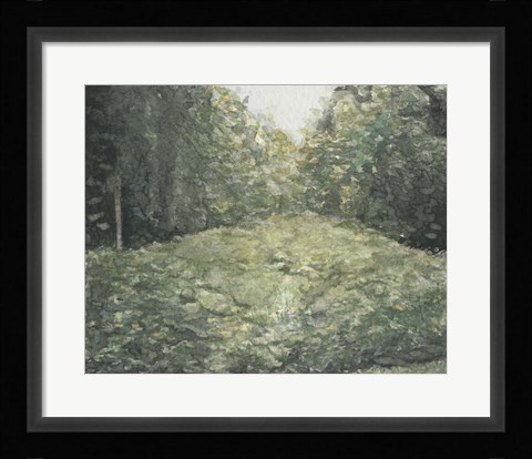 Framed Virginia Forest I Print