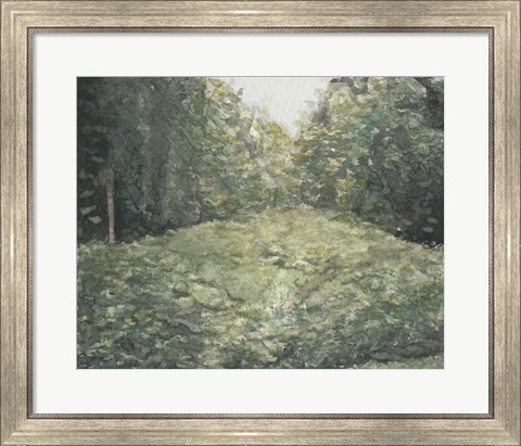 Framed Virginia Forest I Print