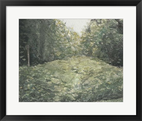 Framed Virginia Forest I Print