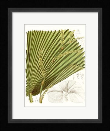 Framed Palm Melange I Print
