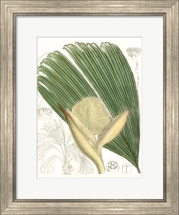 Framed Palm Melange II Print