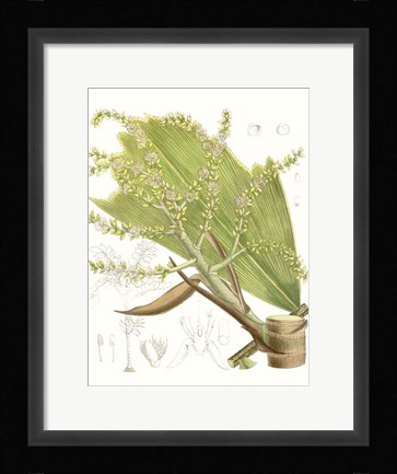 Framed Palm Melange III Print