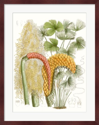 Framed Palm Melange IV Print