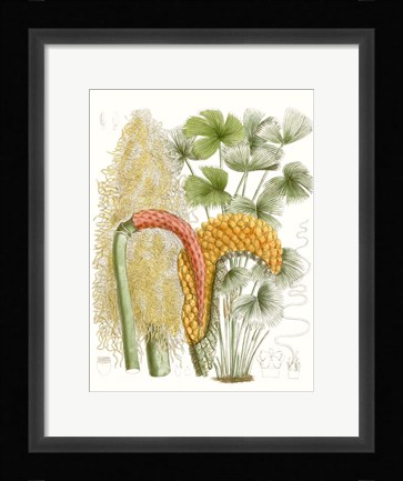 Framed Palm Melange IV Print