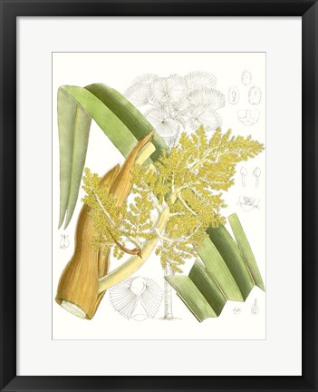 Framed Palm Melange V Print