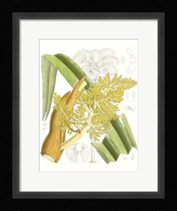 Framed Palm Melange V Print