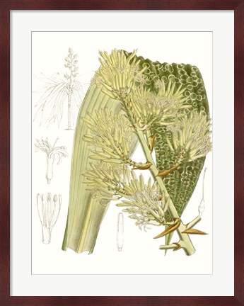 Framed Palm Melange VI Print