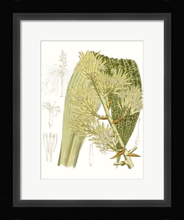 Framed Palm Melange VI Print