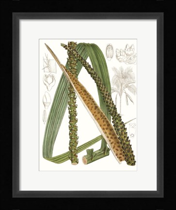 Framed Palm Melange IX Print