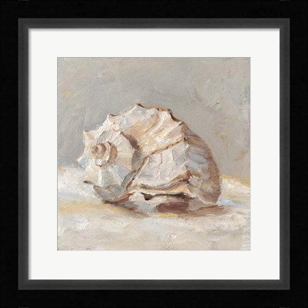 Framed Impressionist Shell Study II Print