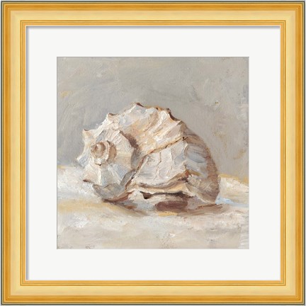 Framed Impressionist Shell Study II Print