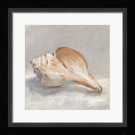 Framed Impressionist Shell Study III Print