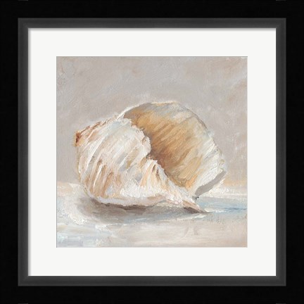 Framed Impressionist Shell Study IV Print