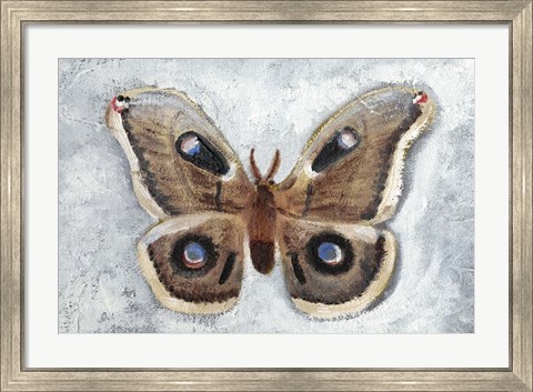 Framed Papillon de Nuit II Print
