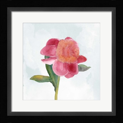 Framed Joyful Peony III Print
