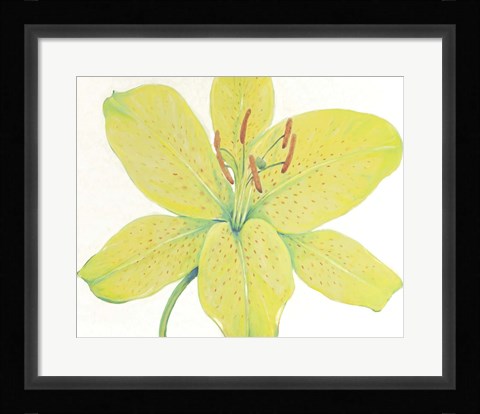 Framed Citron Tiger Lily I Print
