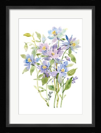 Framed Columbine Spray II Print