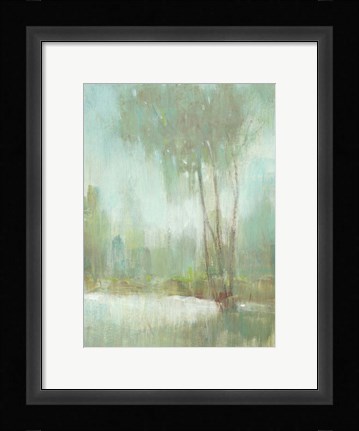 Framed Mist in the Glen II Print