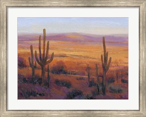 Framed Desert Light II Print