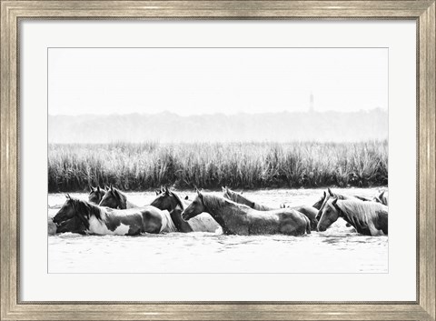 Framed Water Horses III Print