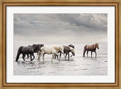 Framed Water Horses IV Print