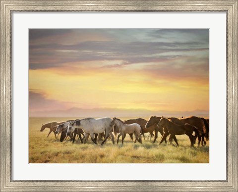 Framed Sunkissed Horses I Print