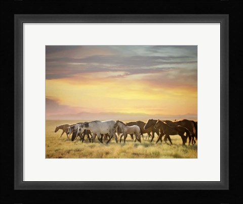 Framed Sunkissed Horses I Print
