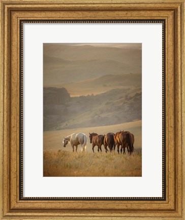 Framed Sunkissed Horses VI Print