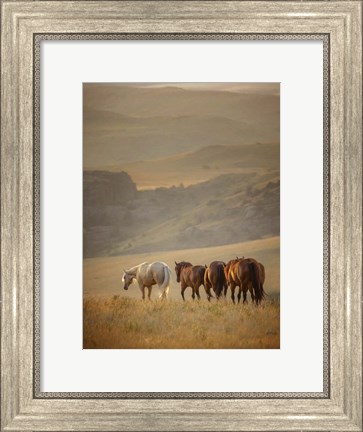 Framed Sunkissed Horses VI Print