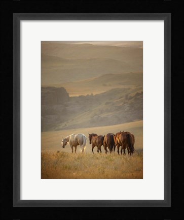 Framed Sunkissed Horses VI Print