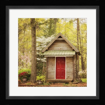 Framed Wild IV Print