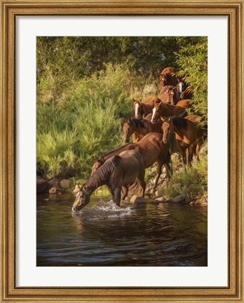 Framed River Horses I Print