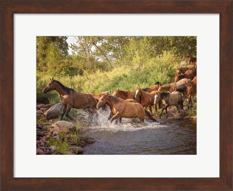 Framed River Horses II Print