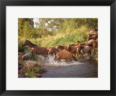 Framed River Horses II Print