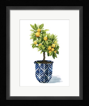 Framed Fruit Tree I Print