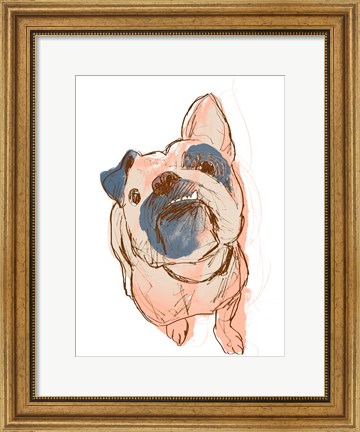 Framed Dog Portrait--Bobo Print